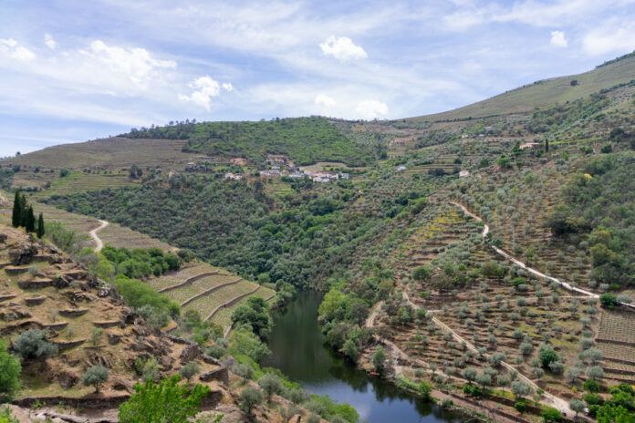 Quinta do Panascal vista