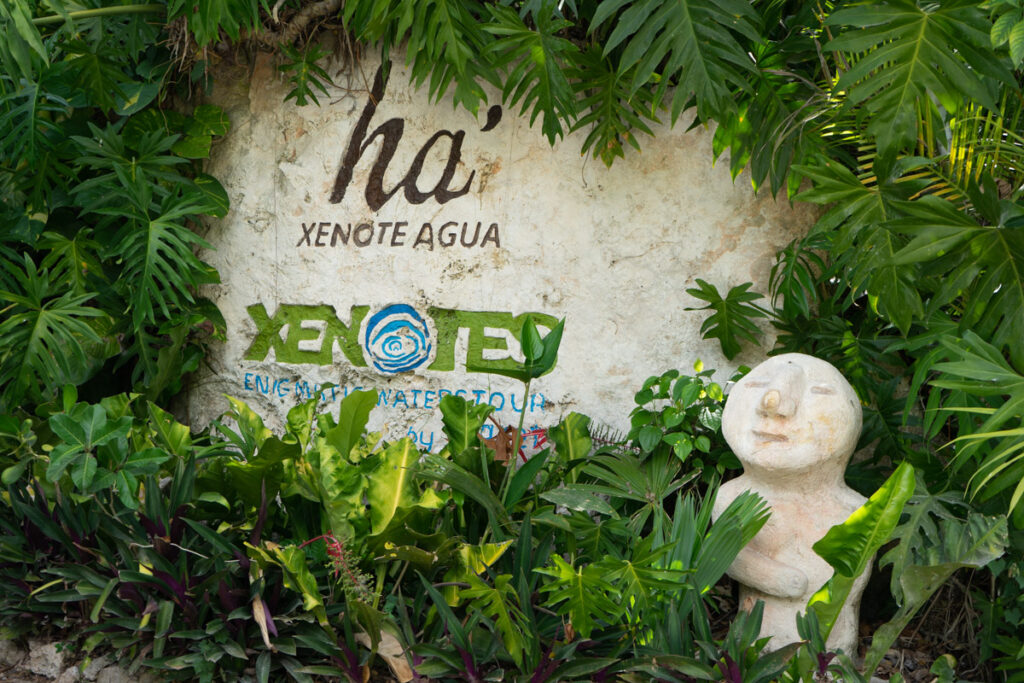 cenotes méxico