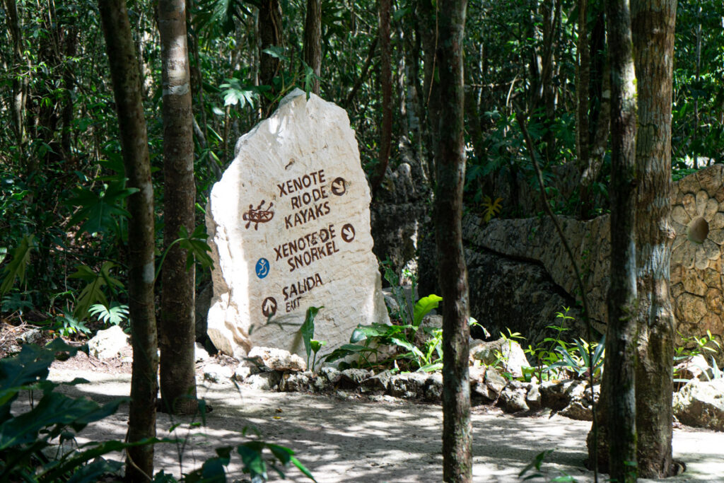 cenotes méxico