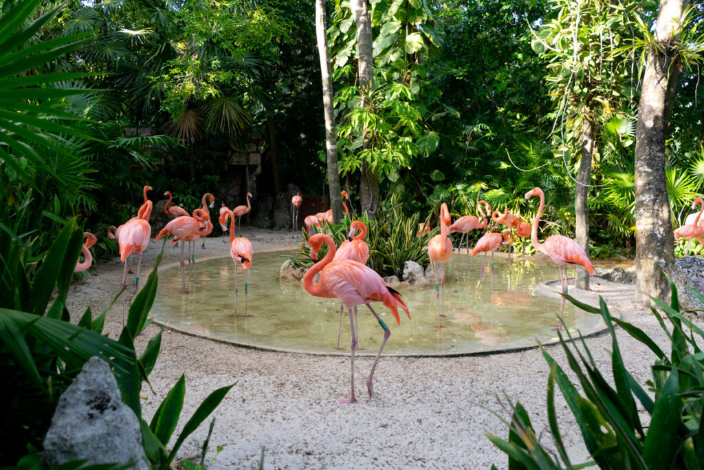Parque Xcaret