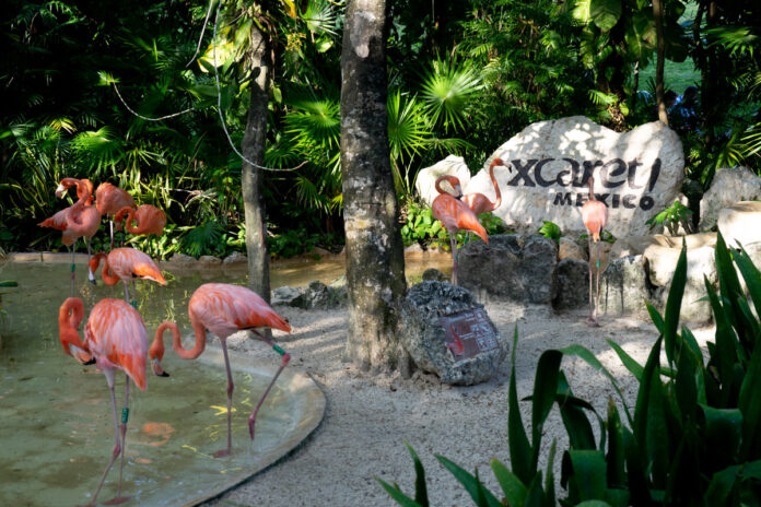 Parque Xcaret